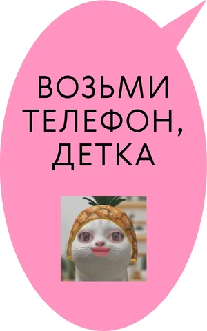 Мессенджер французских чиновников, женихи-шпионы и коты в шапках-ананасах. Проверили пять альтернатив Telegram