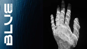 Расплескалась синева: водная стихия глазами современных фотографов 