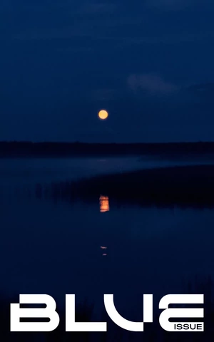 Расплескалась синева: водная стихия глазами современных фотографов 