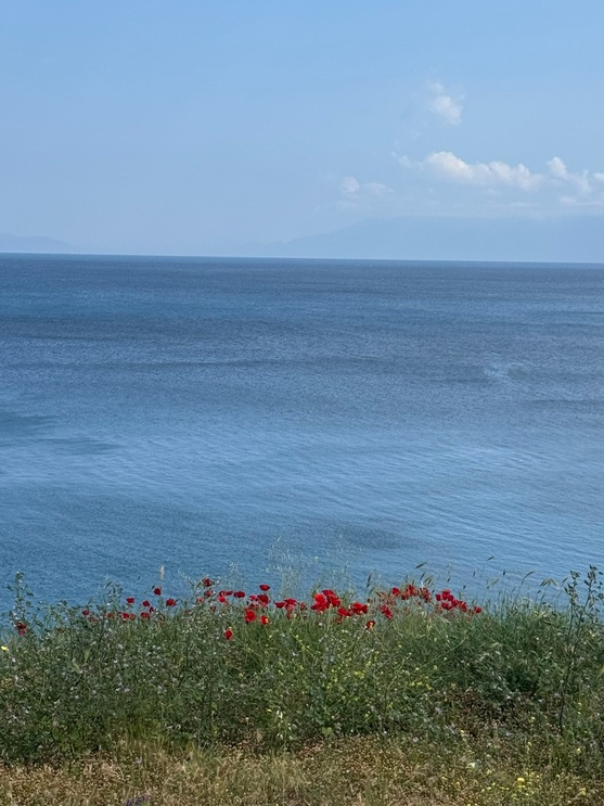 САША НЕСТЕРОВА 