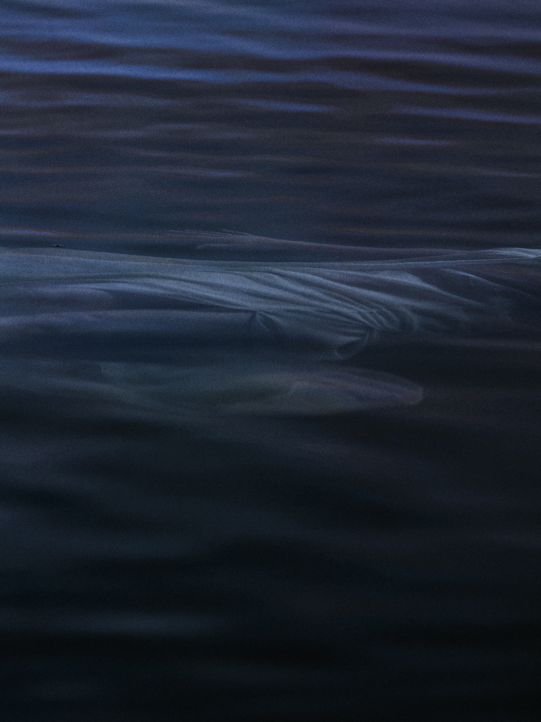 Юлия Майорова