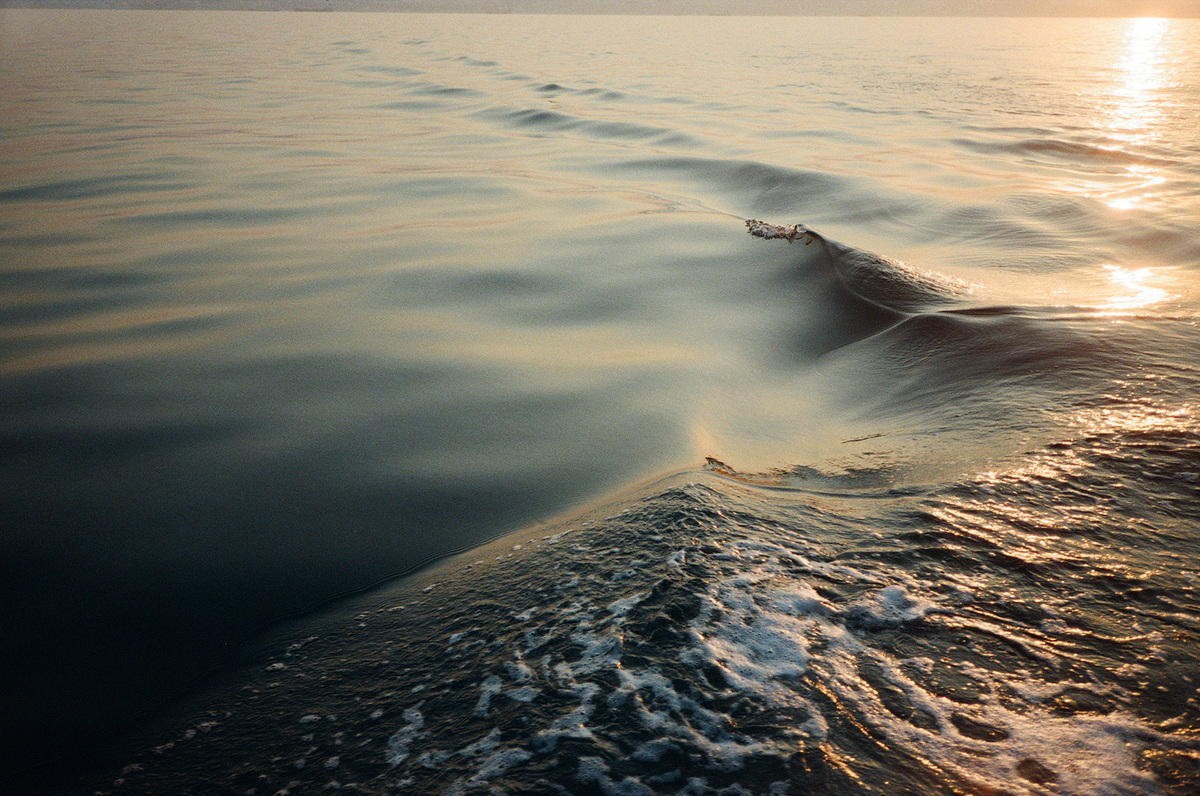 САША МАДЕМУАЗЕЛЬ