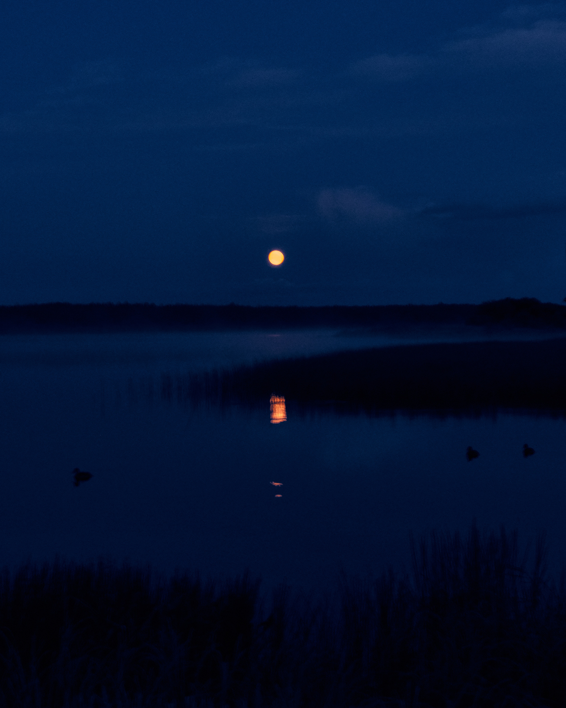 АБДУЛЛ АРТУЕВ