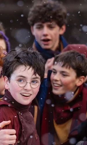 Про создание сериала о Гарри Поттере выпустят документальный фильм 