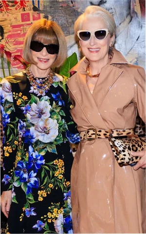 Мэрил Стрип и Анна Винтур оказались родственницами