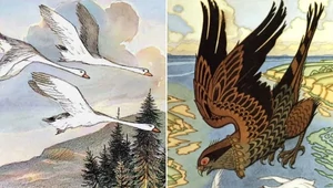 Птицы в русской литературе: от золотого петушка до черненькой курочки протопопа Аввакума