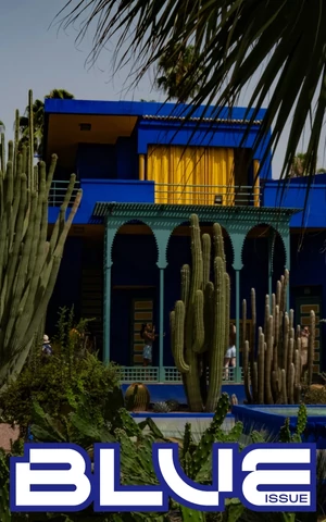 Голубая лакуна: как сад Мажорель стал раем для Ива Сен-Лорана