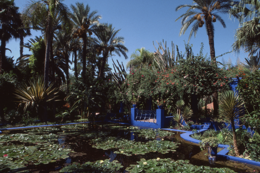 Сад Мажорель