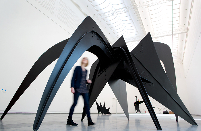 Александр Колдер, Le Tamanoir 1963