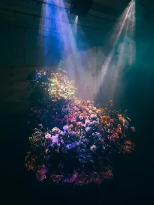 Ouroboros, Moonwatch