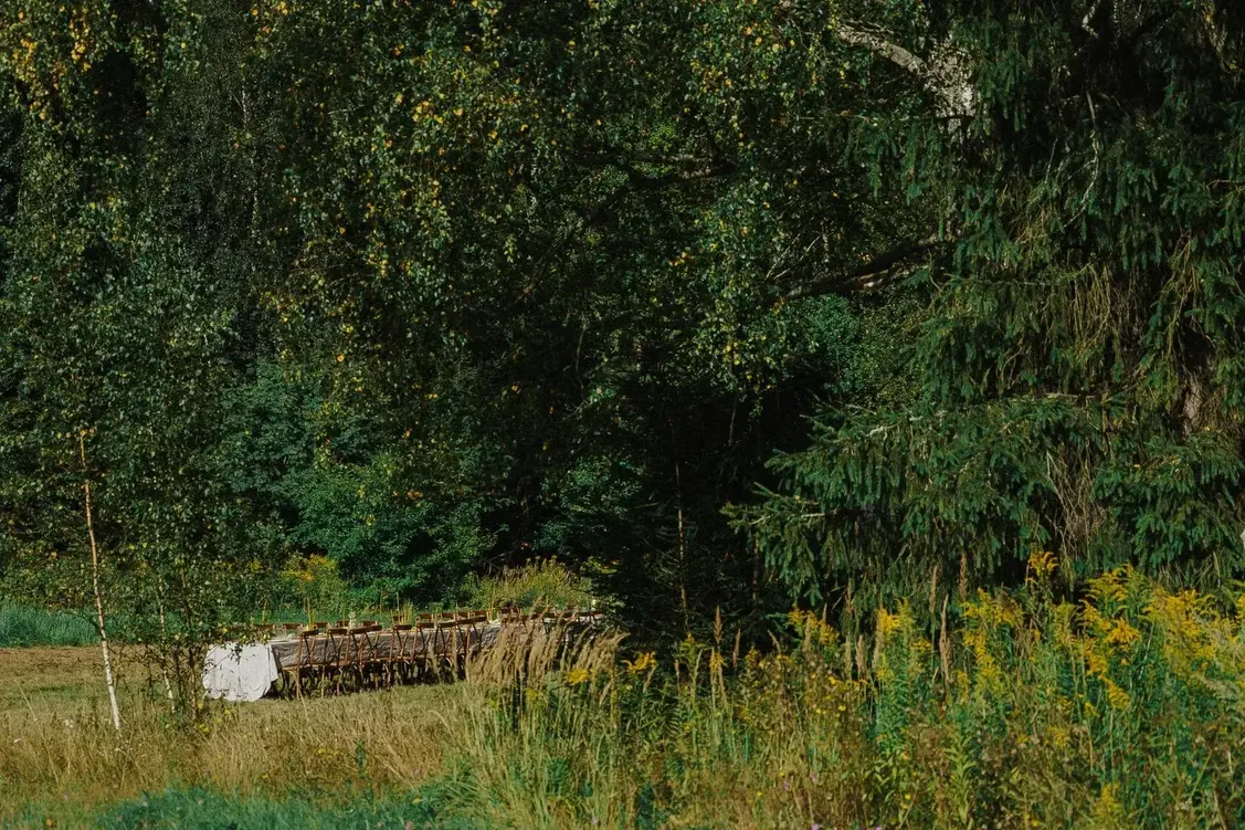 Площадка для проведения мероприятий, «Закатный бранч»