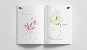 Алена Долецкая выпускает книгу «Цвет и Слово» с напутствиями и картинками растений из своего сада 