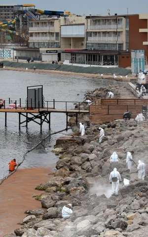 Экологическая катастрофа на Черном море в фотографиях