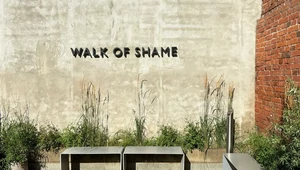 Walk Of Shame на грани закрытия? Нет 