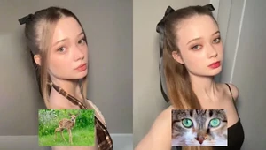 В соцсетях вирусится макияж по архетипам животных. Как узнать свой Animal Face? И зачем?
