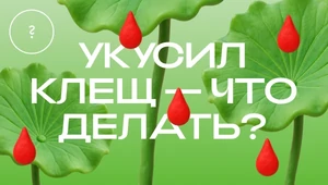 Клещи vs. тревожники. Что нужно предпринять после укуса, а о чем и думать не стоит? 