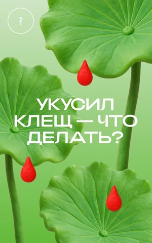 Клещи vs. тревожники. Что нужно предпринять после укуса, а о чем и думать не стоит? 