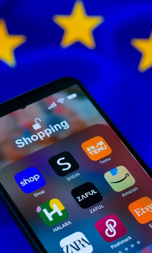 Франция разработала первый закон против Shein, Temu и AliExpress