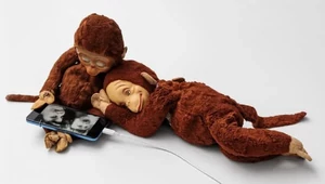 Будущее с оглядкой: муравьи, нейросети и полиция на Art Basel 2026