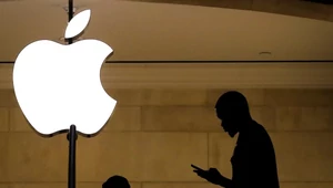 Apple подали в суд на Open AI