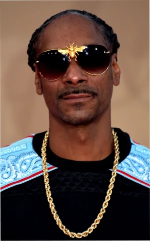Про Снуп Догга снимают фильм Snoop