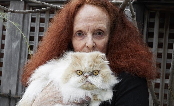 Грейс Коддингтон и котик на обложке нового номера  PUSS PUSS 