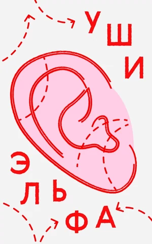 Уши больше — лицо моложе. В Азии растет спрос на «уши эльфа», но нужны ли они вам? 