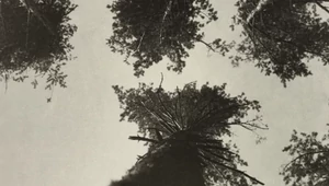 Третьяковка представит выставку пейзажной фотографии периода с конца XIX века до наших дней