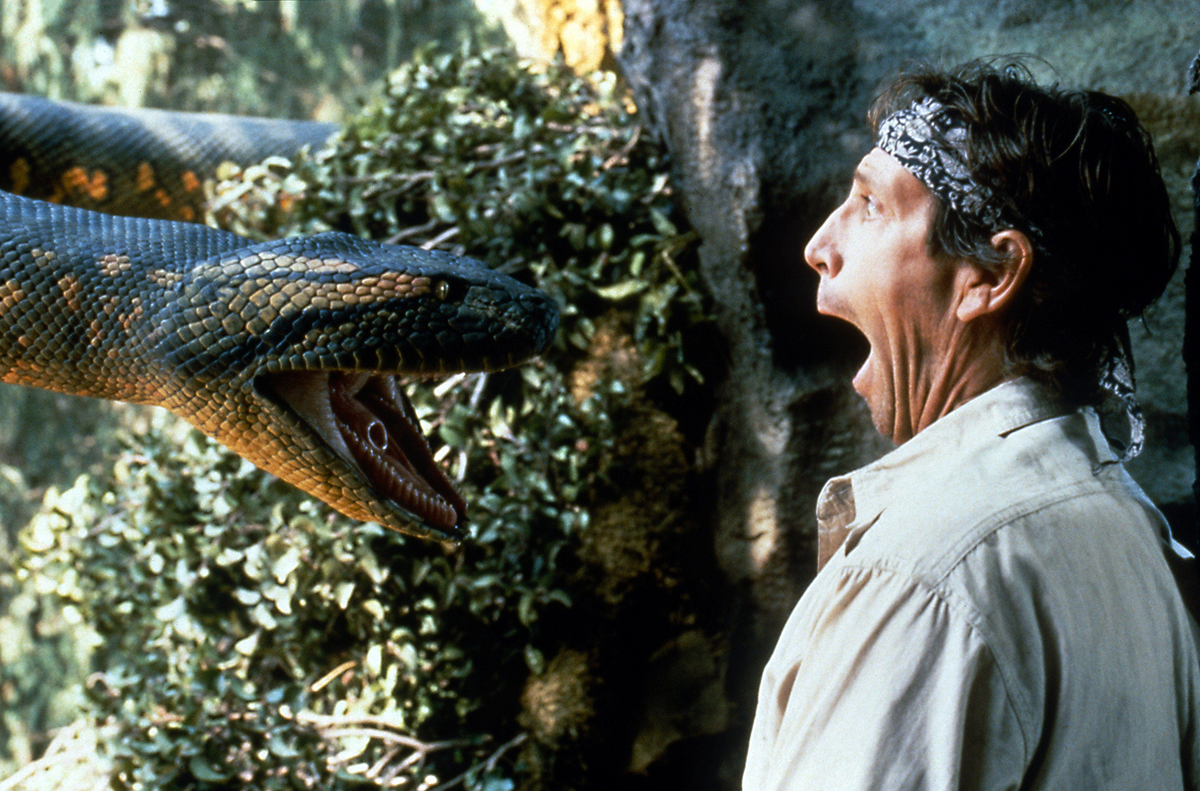Кадр из фильма «Анаконда», 1997
