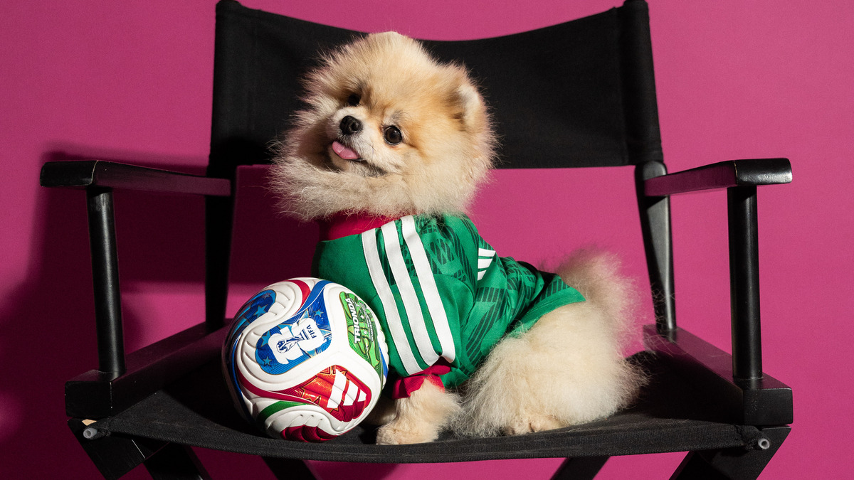 adidas х FIFA World Cup 2026™