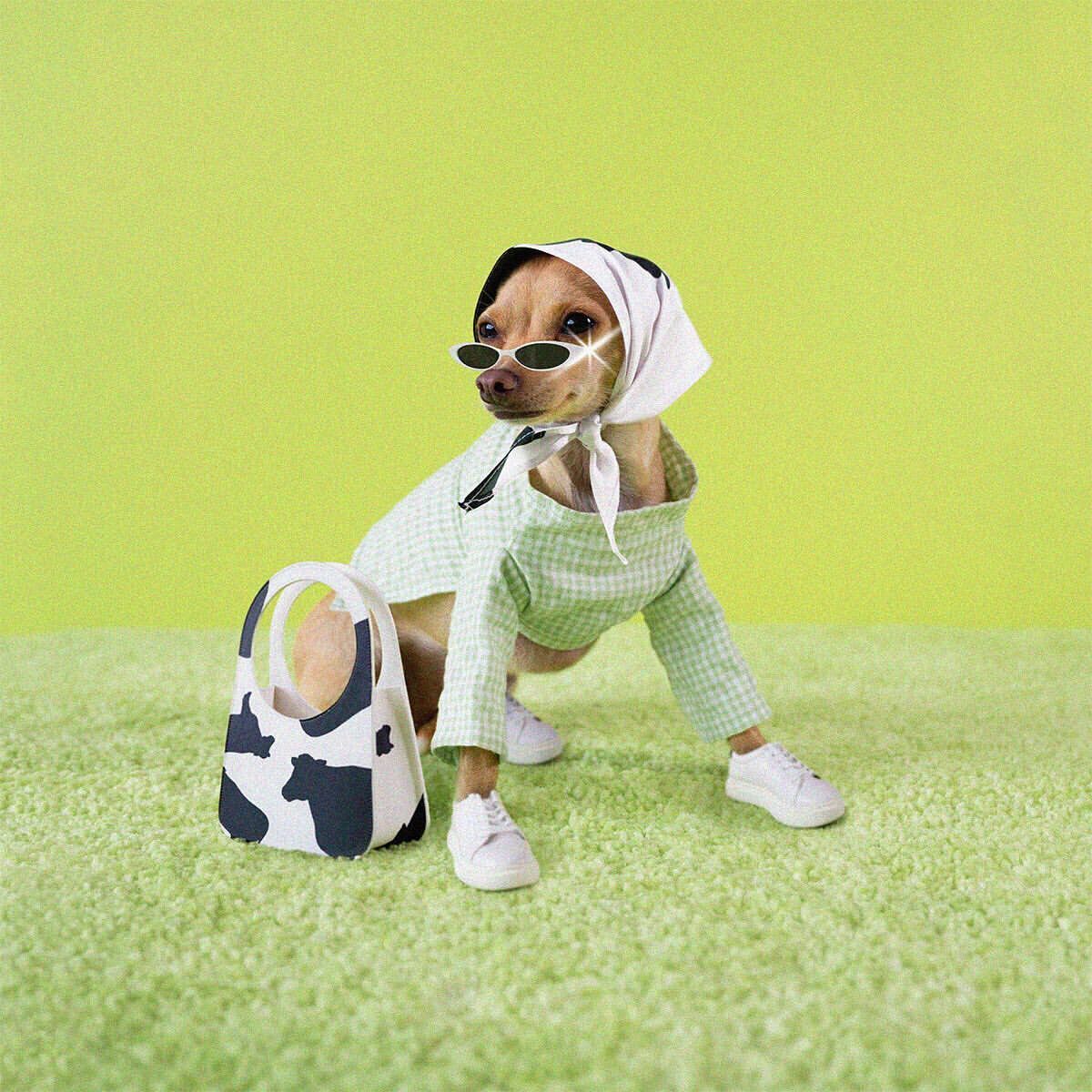 @boobie.world