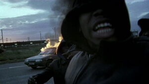 Justice, Stress, 2008