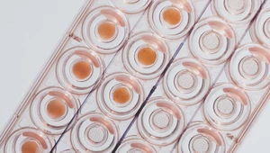 Леди Гага вместе со своим женихом Майклом Полански основали beauty-tech стартап Outer Bio