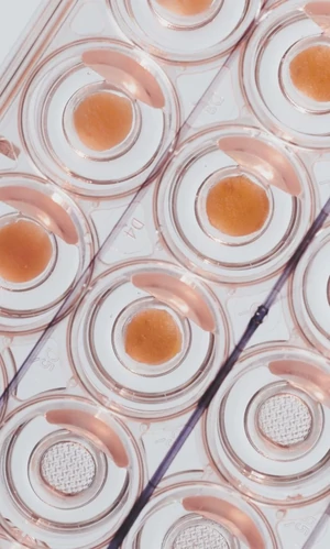Леди Гага вместе со своим женихом Майклом Полански основали beauty-tech стартап Outer Bio