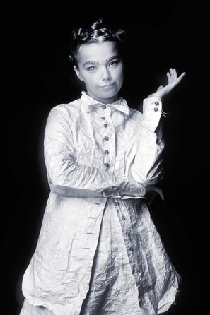 Bjork, 1993 