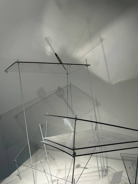 Вера Ширдина, «Рамка кадрирования», 2026