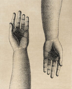 Fornasetti x cc-tapis