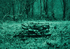 «Звонок», 2002