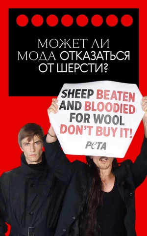 Против шерсти. Что с ней не так — и действительно ли мода может от нее отказаться