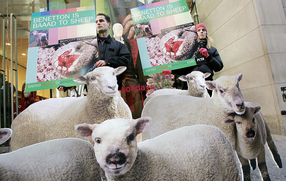 Протест PETA против мьюлесинга перед магазином Benetton, 2004