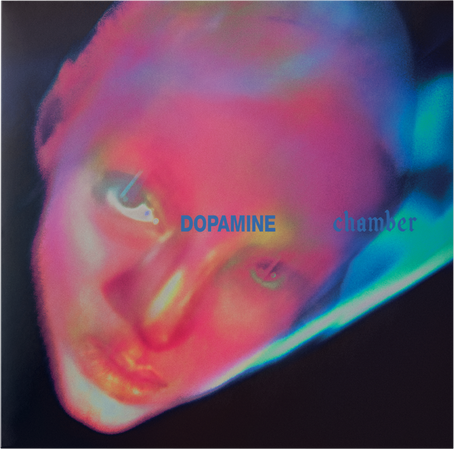 Fontaines D.C. Dopamine Chamber
