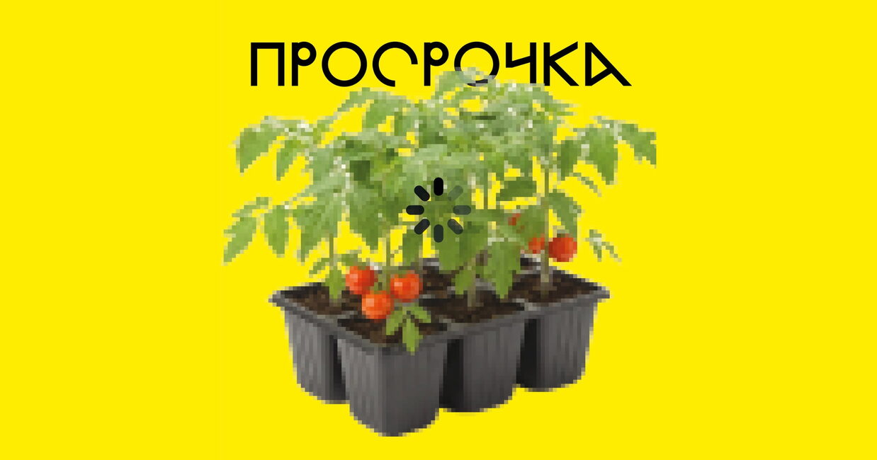 Театр октября. Спектакль «Просрочка», «Пространство “Внутри”»