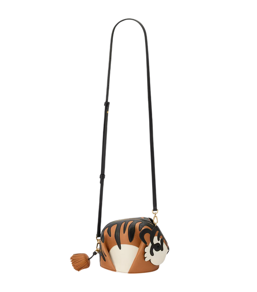 Сумка Loewe x Paula's Ibiza