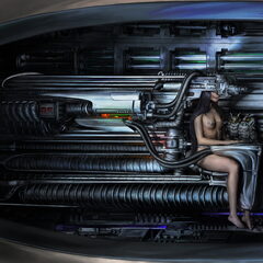 Willow (альбом XXXXX), Arca, 2026