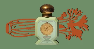 Овощные ароматы — новый парфюмерный тренд. Почему мы хотим пахнуть свеклой, помидором и тыквой