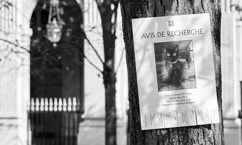 Givenchy расклеили на улицах объявления о пропаже кошки