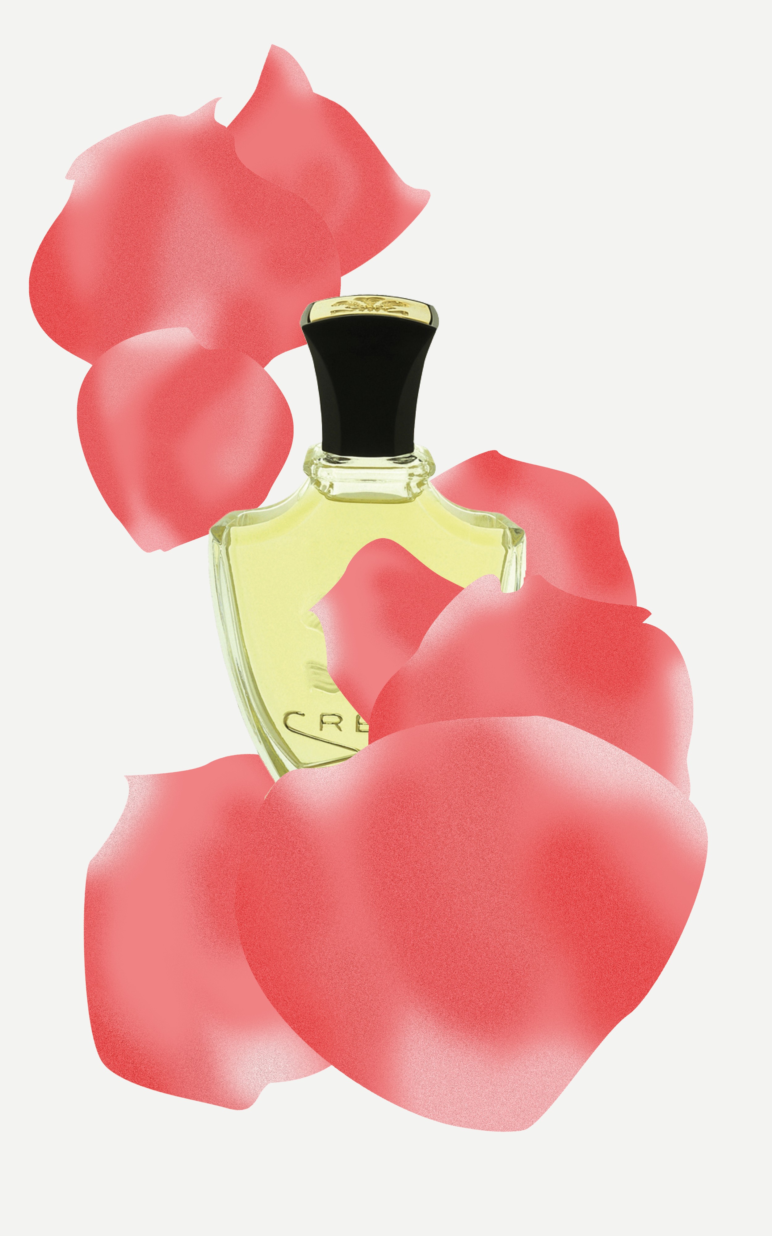 За что розу любят в парфюмерии и косметологии? И какая подойдет вам?