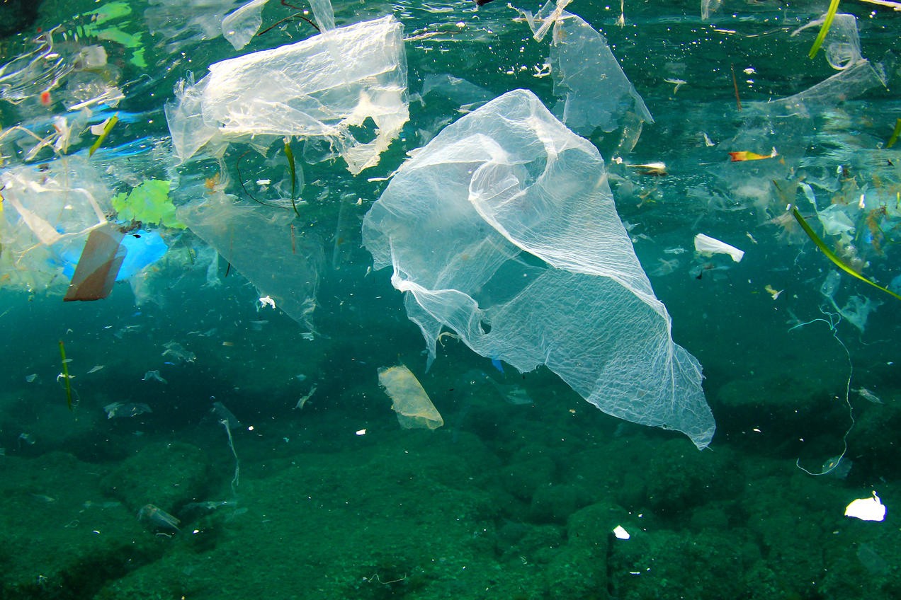 Burberry, H&M и Stella McCartney будут бороться с пластиковым загрязнением