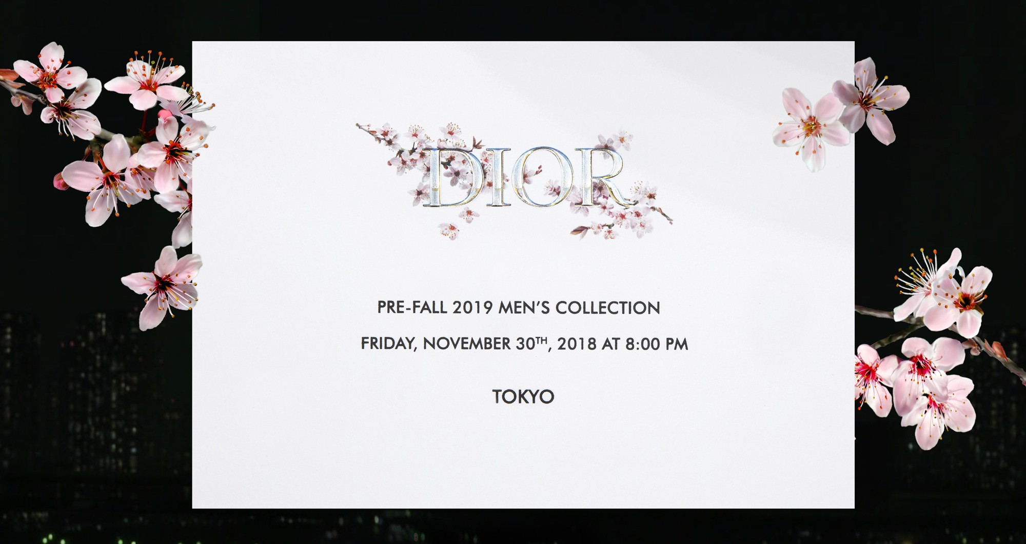 Прямая трансляция показа мужской коллекции pre-fall Dior