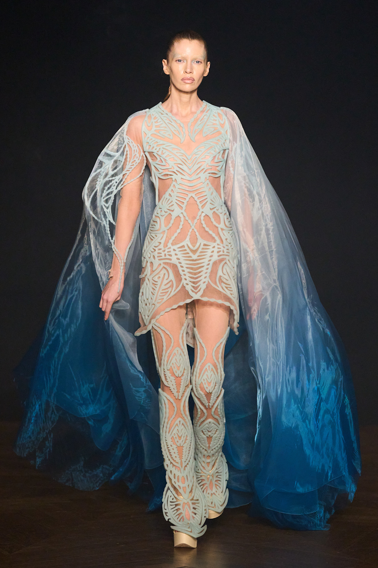 Van Herpen HC F25 002